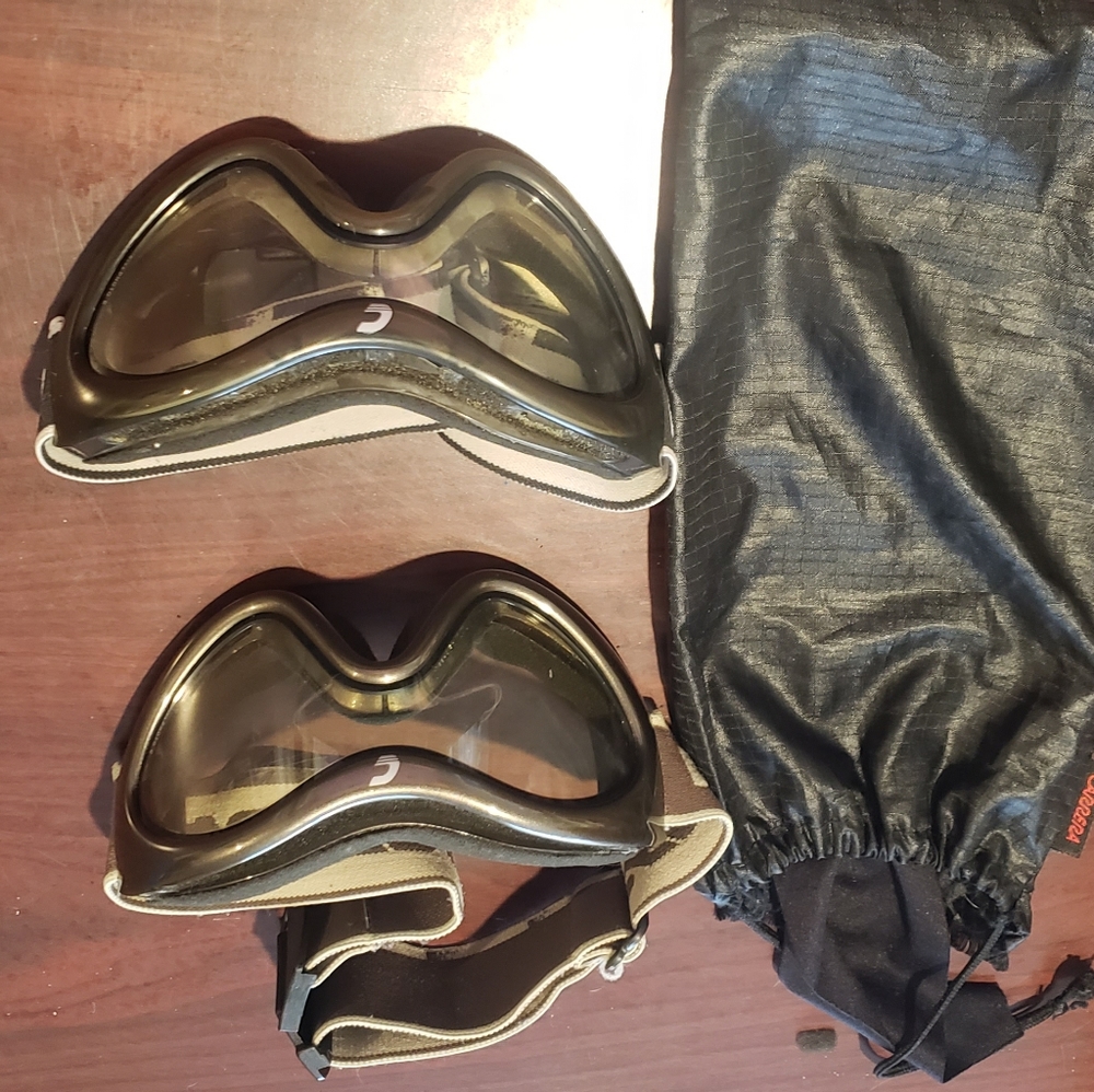 Carrera goggles